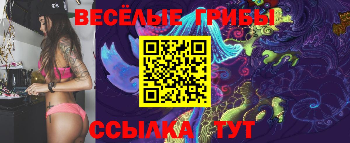 Псилоцибиновые грибы Psilocybine cubensis Киселёвск