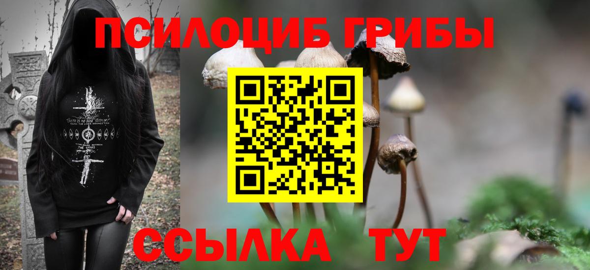 Галлюциногенные грибы мухоморы  Вход с VPN  Галлюциногенные грибы Psilocybine cubensis  купить наркоту  Киселёвск 