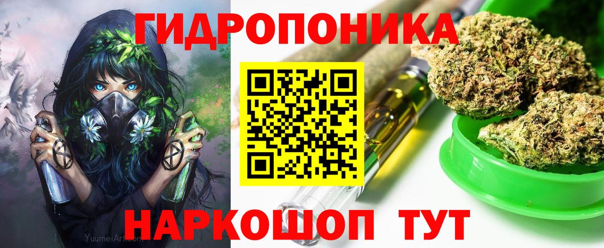 Бошки Шишки White Widow  Шишки марихуана Ganja  МАРИХУАНА THC 21%  Киселёвск  Вход с VPN  Бошки марихуана индика 